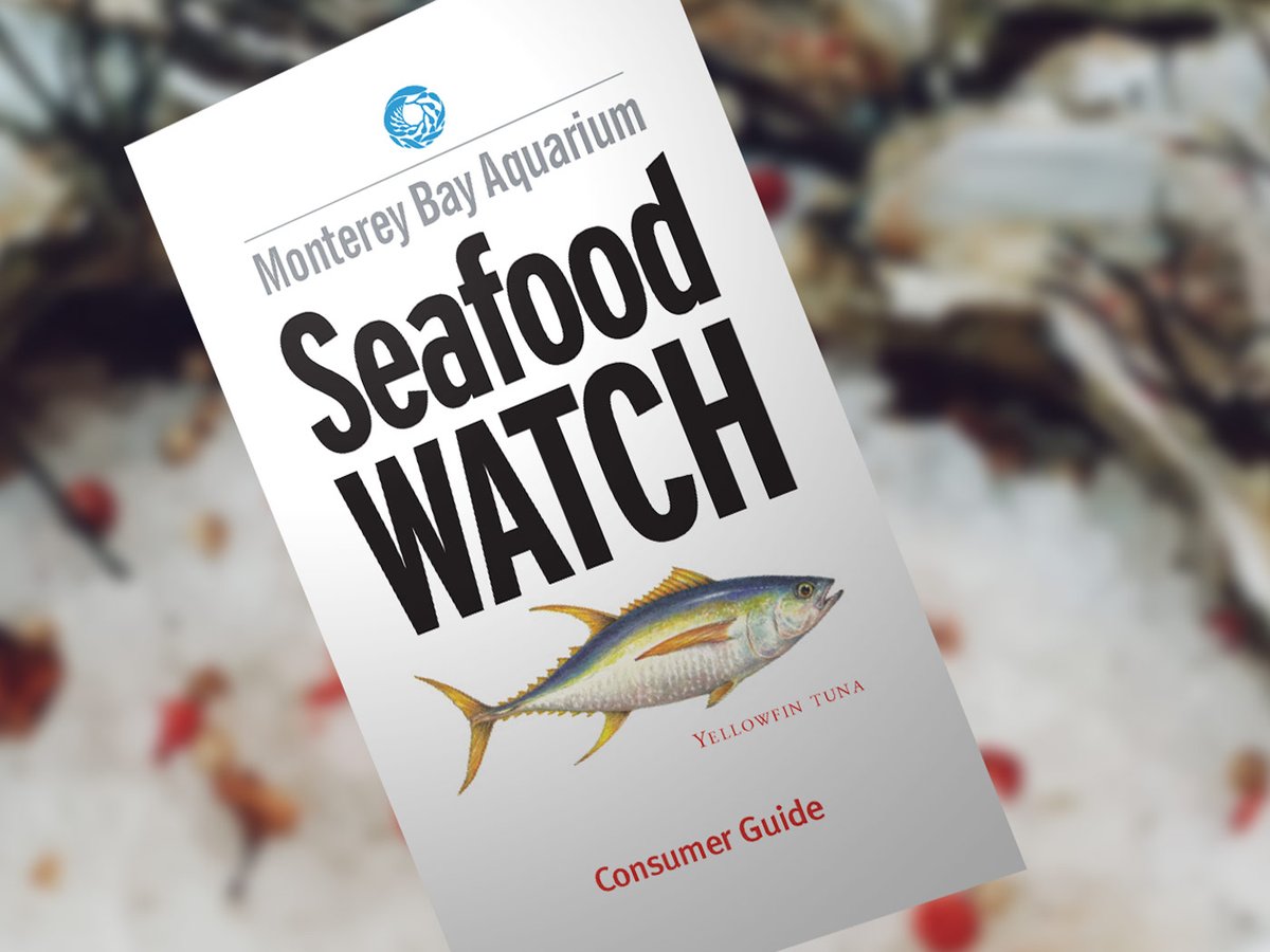 padiaware's tweet photo. #10TipsChallenge: Are you aware of what is in your seafood plate? 
Tip #6 Make Responsible Seafood Choices
If this is your #10Tip, take the pledge and share a selfie with the sign tagging @projectaware and #10Tips4Divers. 
https://t.co/7kVKu8WlnW
📷 @SeafoodWatch https://t.co/vYEpJdvjps