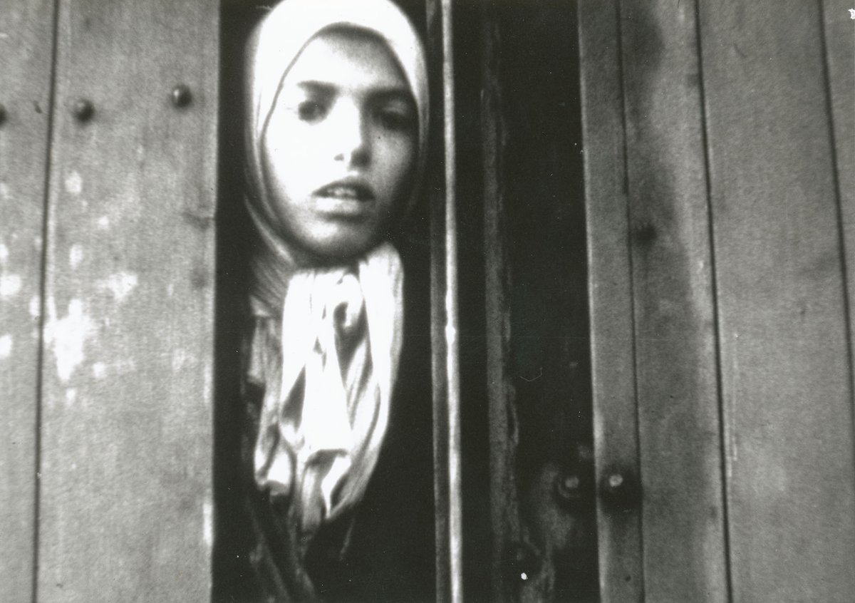 AuschwitzMuseum's tweet photo. The history of the German Nazi #Auschwitz camp &amp; the fate of its victims remind us and painfully warn us every day of what human prejudice, xenophobia, antisemitism, racism, homophobia, and all ideologies that spread hatred can lead to. https://t.co/NBTj7UgHp3