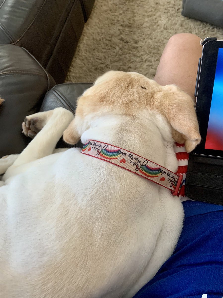 Sorry I haven’t posted much. It’s exhausting having a little sister. I couldn’t have been crazy like Pearl....could I? Just taking any opportunity to be close to mom.