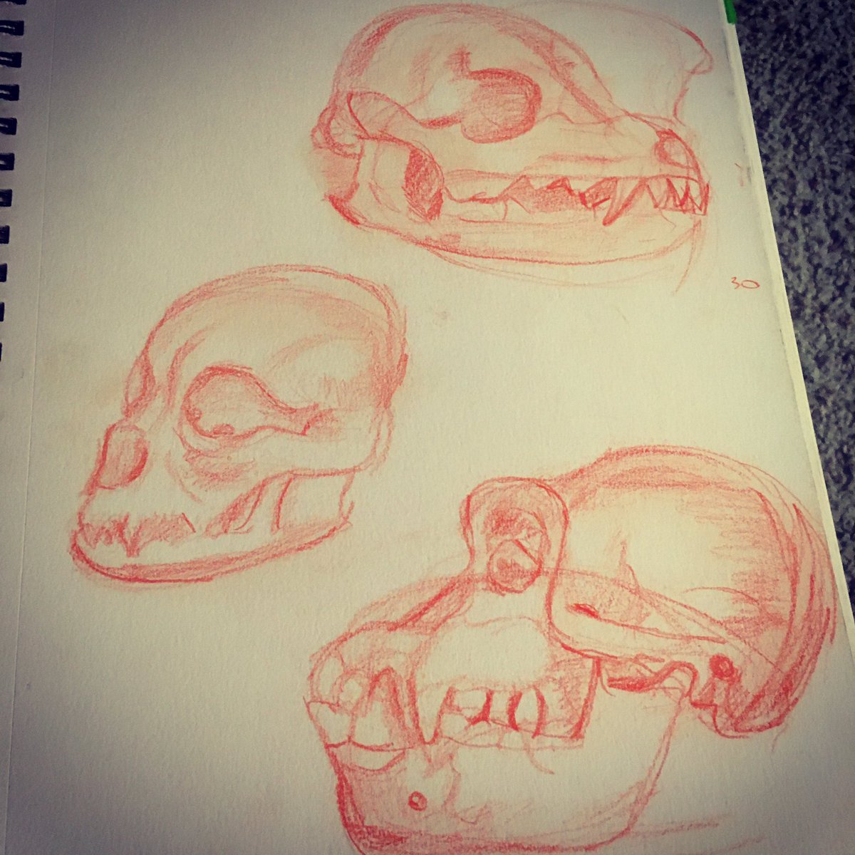 FleischmannArt's tweet photo. Just pulled out some of my old artwork for animal wildlife class. Looking at old artwork brings me feel a few things .it make me realize how much I have improved though the years of doing my craft. Second make realized how much I still have to learn.What is something you learned? https://t.co/I4rdZl99jl