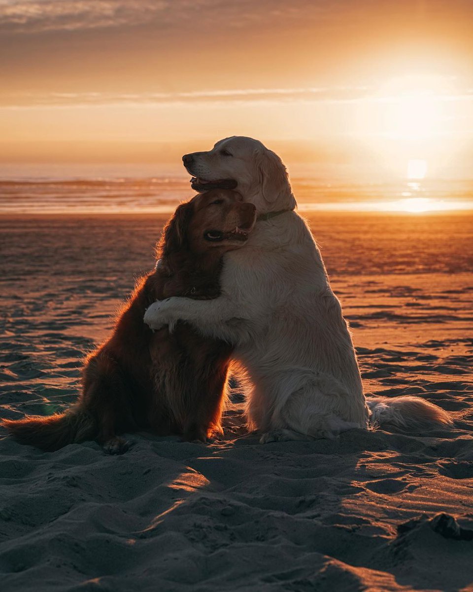9GAG's tweet photo. You and me against the world

📸 https://t.co/Eo4oLWsB1C | IG https://t.co/0OjYWOK5vT