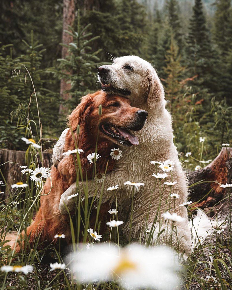 9GAG's tweet photo. You and me against the world

📸 https://t.co/Eo4oLWsB1C | IG https://t.co/0OjYWOK5vT