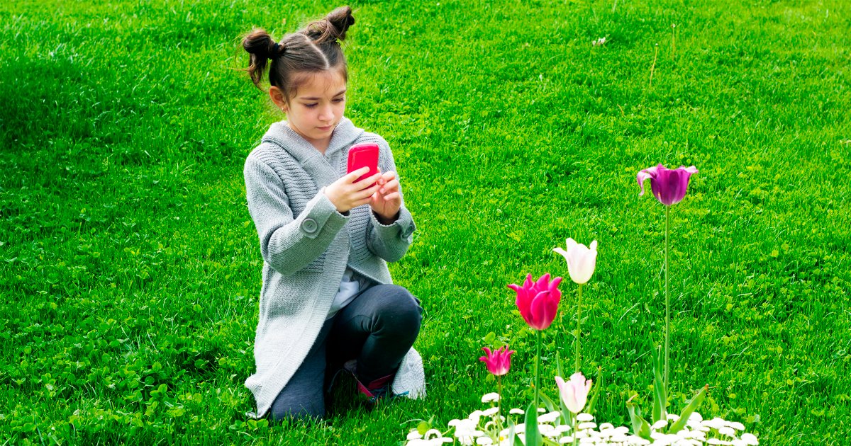 CityWestminster's tweet photo. Looking for ways to connect with nature this summer? 🌲 

Check our #NaturallyActive booklet. With activities from @ACAVAarts, @ActiveWCC and @LondonLEEF - there’s something to keep every child engaged and active during the holidays. https://t.co/kooAOB7H4g

#Westminster https://t.co/WUII6PSpBl