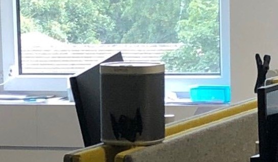 Barry the Bat popped in to see us here at our Hayward's Heath office unexpectedly today thinking he could get some insurance from Exotic Direct. Unfortunately we had to tell him that we don't currently offer insurance for bats. Maybe next time Barry...