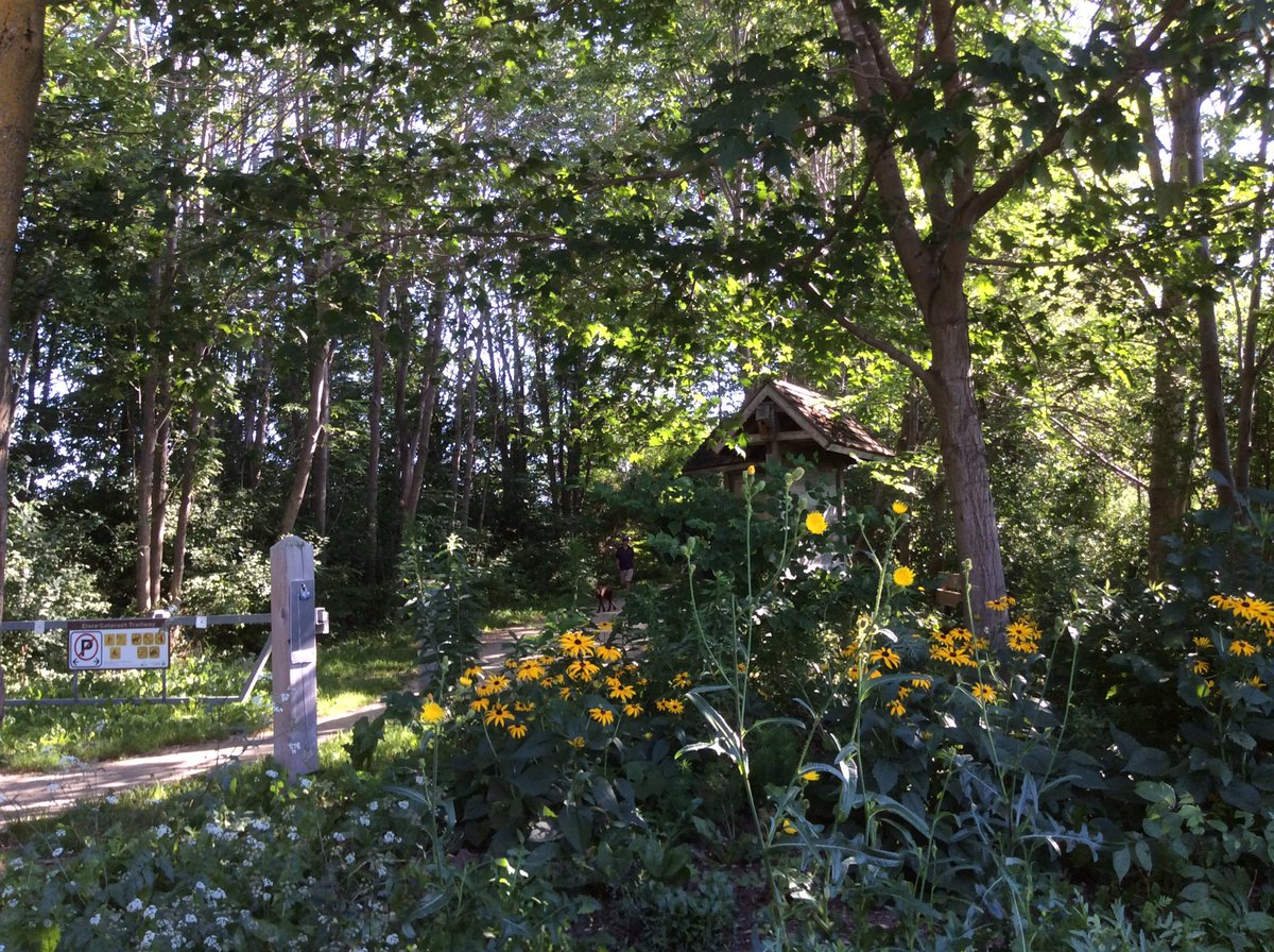 eloraguy's tweet photo. Walkin’ on the wild side in one’s own back yard  - Cool view at Elora’s Gerrie Road access to the @ECTrailwayAssoc trail in @CentrWellington . The trail is part of the TransCanada Trail @TheGreatTrail https://t.co/JVOtbsSxdJ