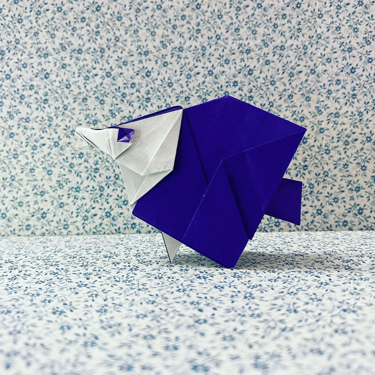 pinceana16's tweet photo. 231/366 Origami Butterfly Fish designed by Seo Won Seon 

#365origamichallenge #origamifish #折り紙作品 https://t.co/t0IcAaBOvL