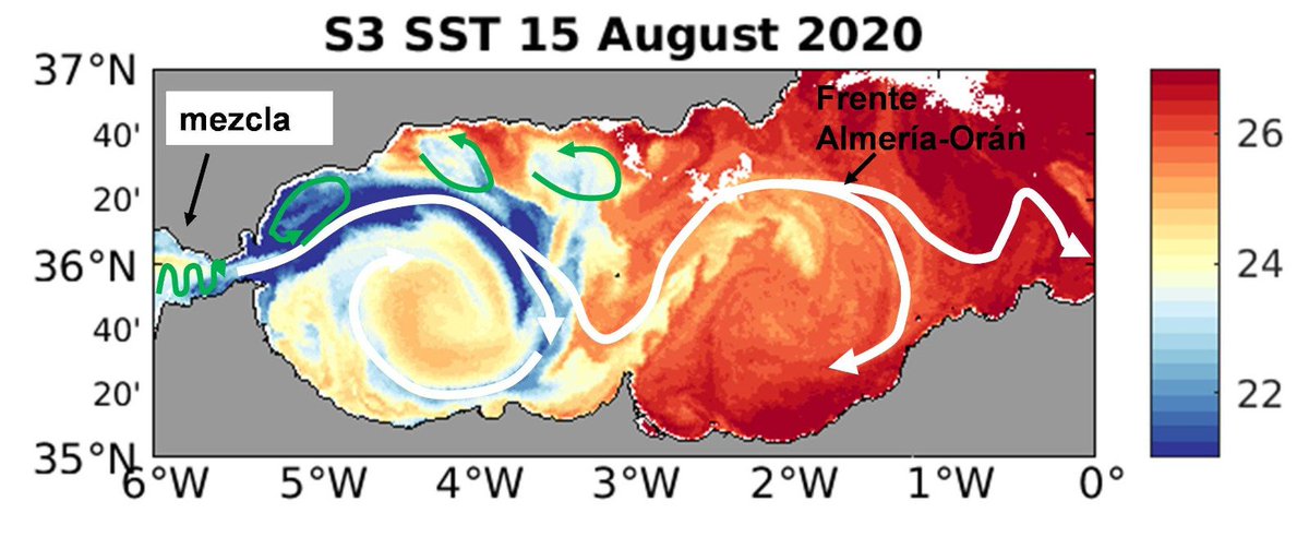 A continuación, entre Gibraltar y Fuengirola, suele formarse un giro ciclónico (en contra de las agujas del reloj) que hemos marcado en verde. Produce el afloramiento de aguas profundas frías. Por eso en Marbella y Estepona el agua suele estar más fría...