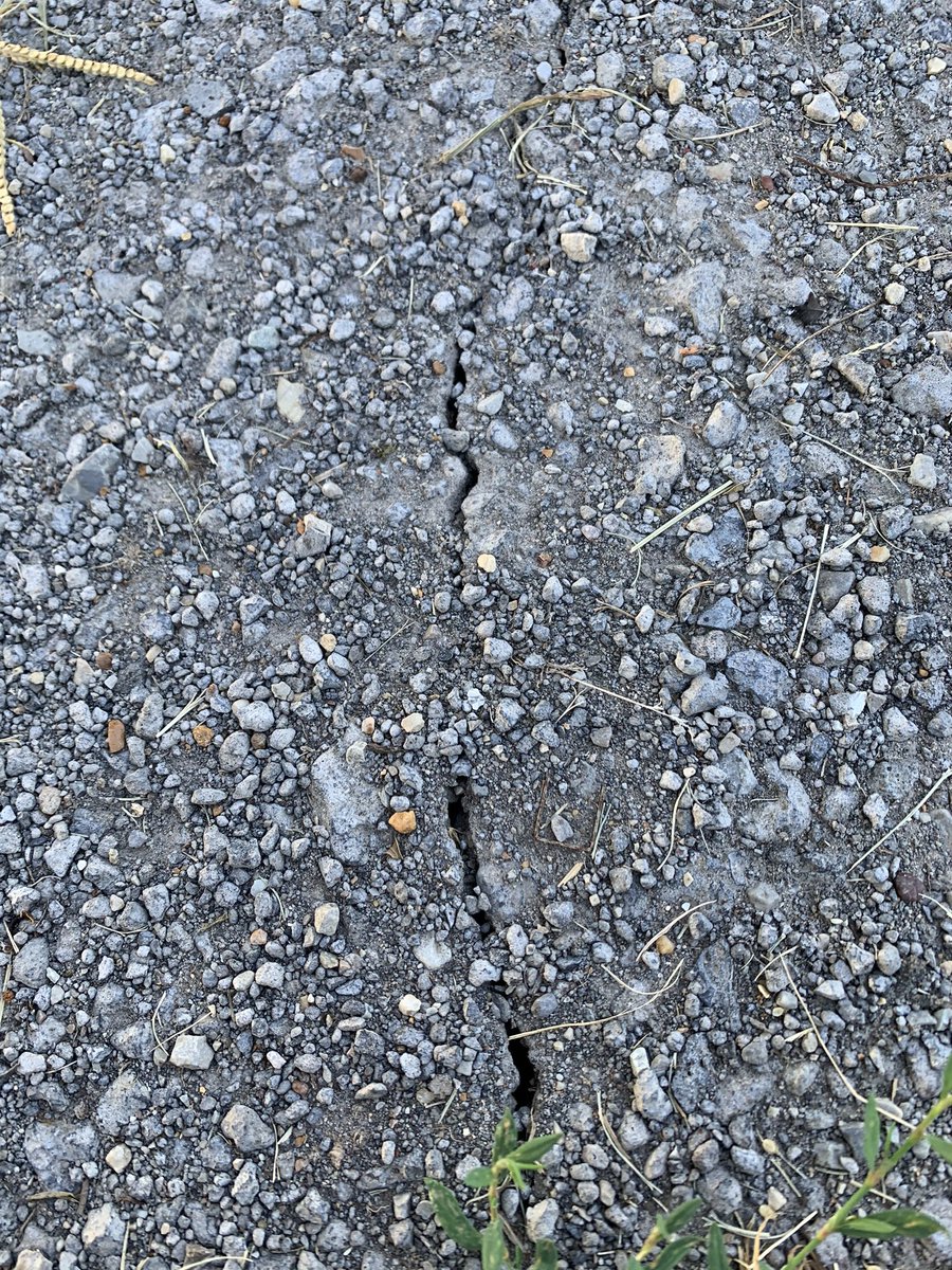 Getting a crack in my gravel road kind of dry here at Keiser. Someone please send some rain our way! <a href="/AgWriterArk/">🧨 Ferndale Int’l Observatory</a> <a href="/SlatonNathan/">Nathan Slaton</a>