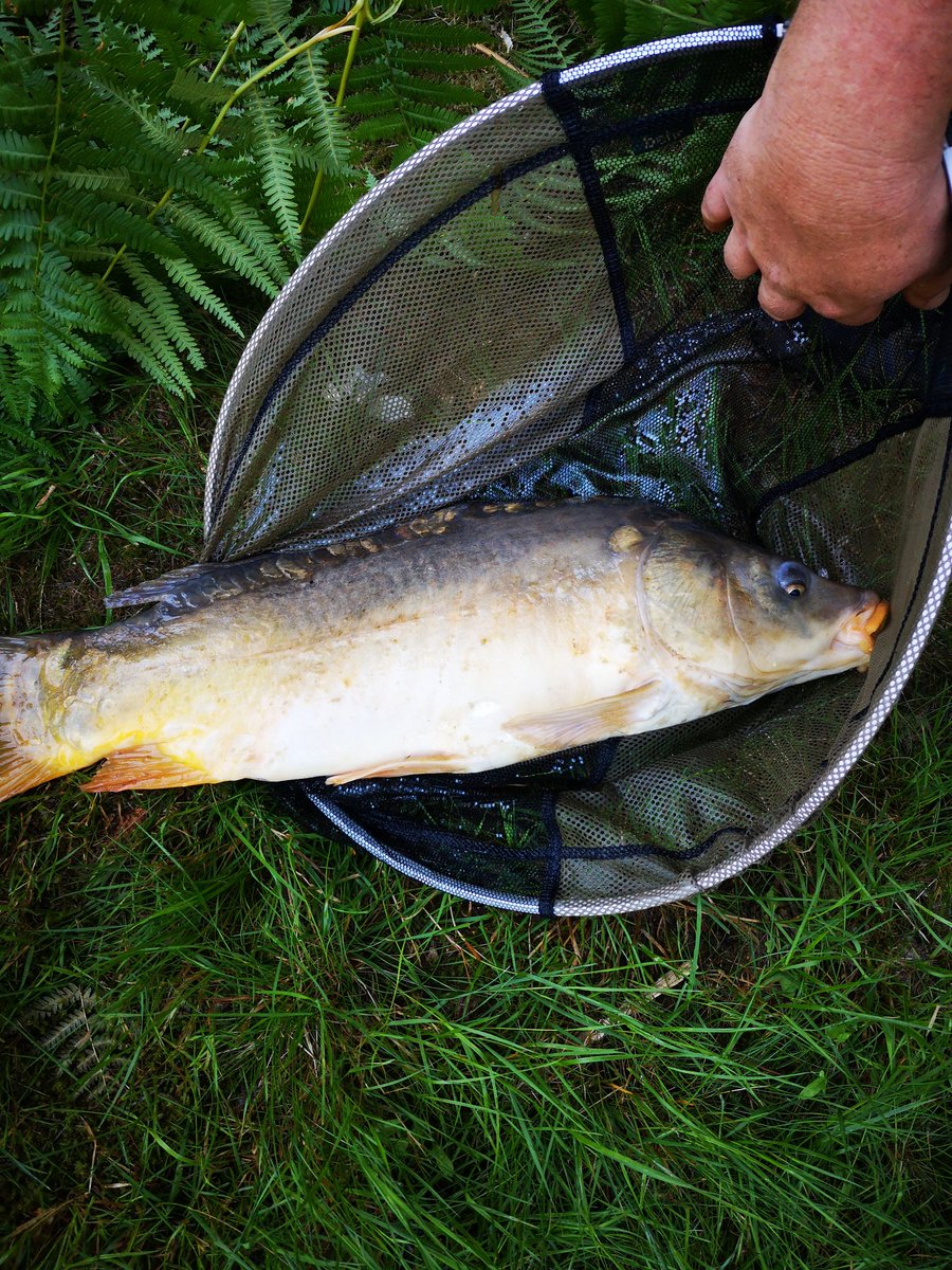 Gabriel Clemens tweet media