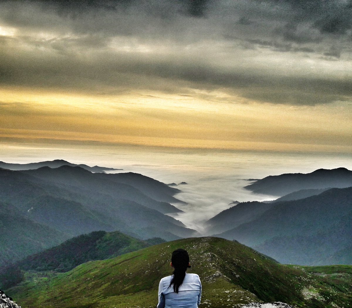ozguky's tweet photo. #YaylamaDokunma #pokut #samistal #gito #elevit ve niceleri yeryüzünde cennet neresi soranlara #rize yaylaları derimm.. https://t.co/GefImehrMm