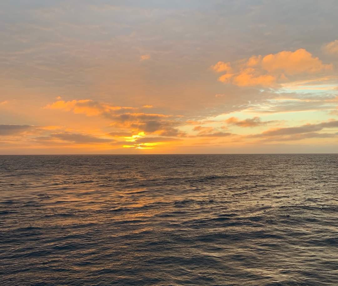JRSO_IODP's tweet photo. "After many cloudy days in the North Atlantic, a beautiful Sunset at 10:45 pm was followed by a wonderful Sunrise around 7:15 am, with whales swimming by and sea gulls hanging out nearby."
#Exp384 #NSFfunded
ππΈ@gdacton #JRSO #IODP https://t.co/Gb7Lv3U3DS
