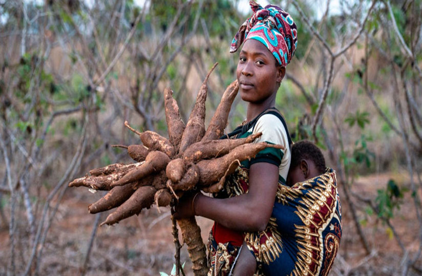 agridigitale1's tweet photo. Five business opportunities in Africa’s agribusiness and food sector

A selection of agribusiness and food related business ideas that have come across our desk. @IFAD @les2AA @FAO 

👉https://t.co/mp8ZFhlmR4 https://t.co/8gcANhsDV1