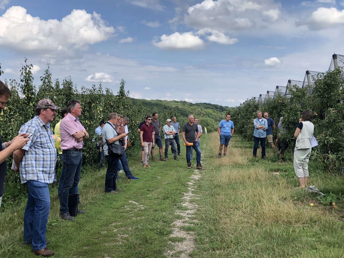 Mooie velddag bij Fruitbedrijf Wouters ikv pop3 Duurzame teelt, gezonde producten. Alle proeven toegelicht en mooie kwaliteit fruit door nieuwe strategieën van plant voeding en bodem verbetering.