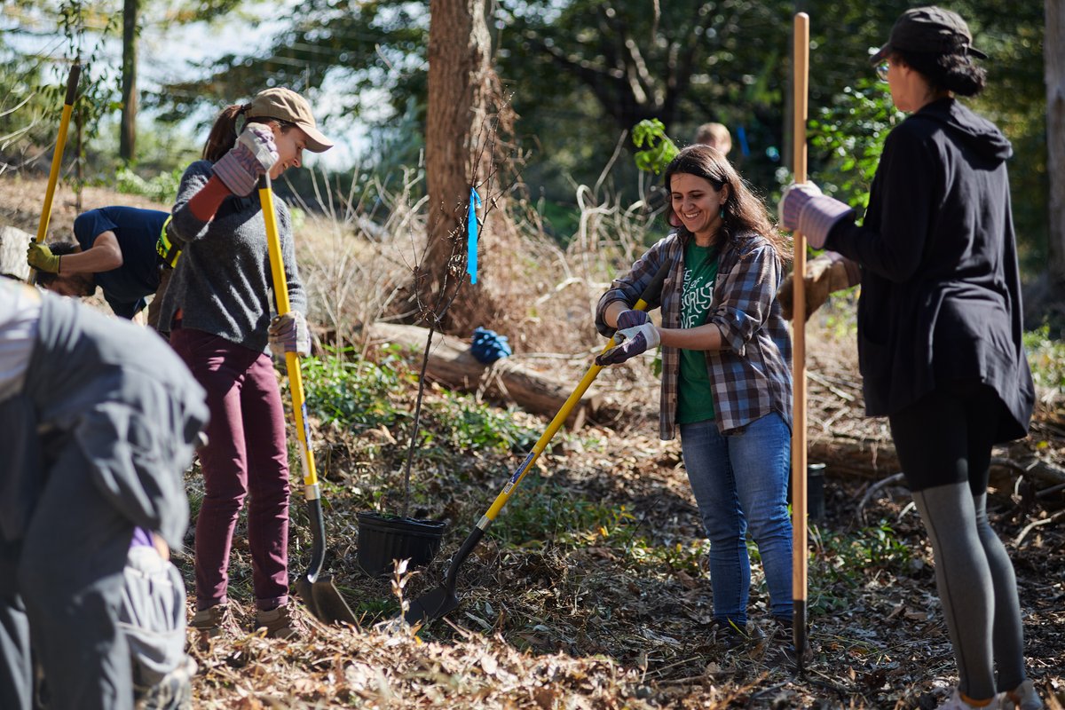 myphillypark's tweet photo. Do you love trees and want to support Philly's urban forest? Apply to become our @TreePhilly Program Coordinator! Details this way ➡️ https://t.co/ziuUh1CjjB https://t.co/KJfh2qDVQ5