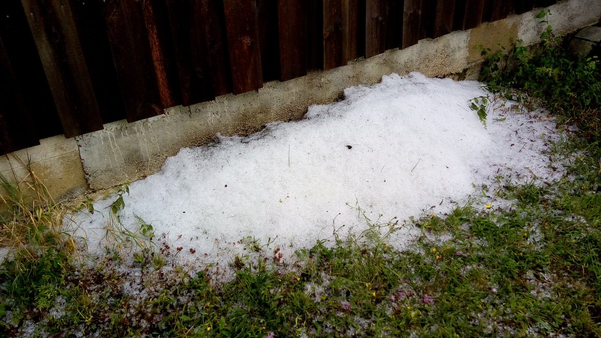 Benoît CLEMENT ن 🇨🇵 tweet media