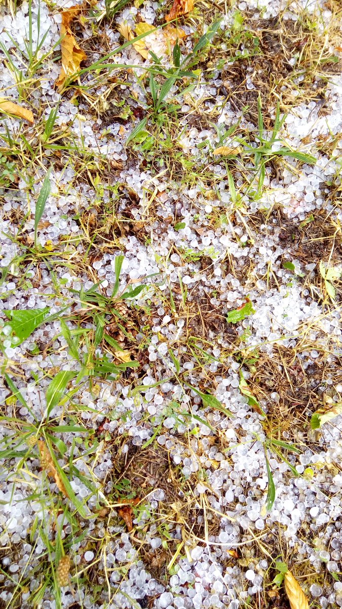 Benoît CLEMENT ن 🇨🇵 tweet media