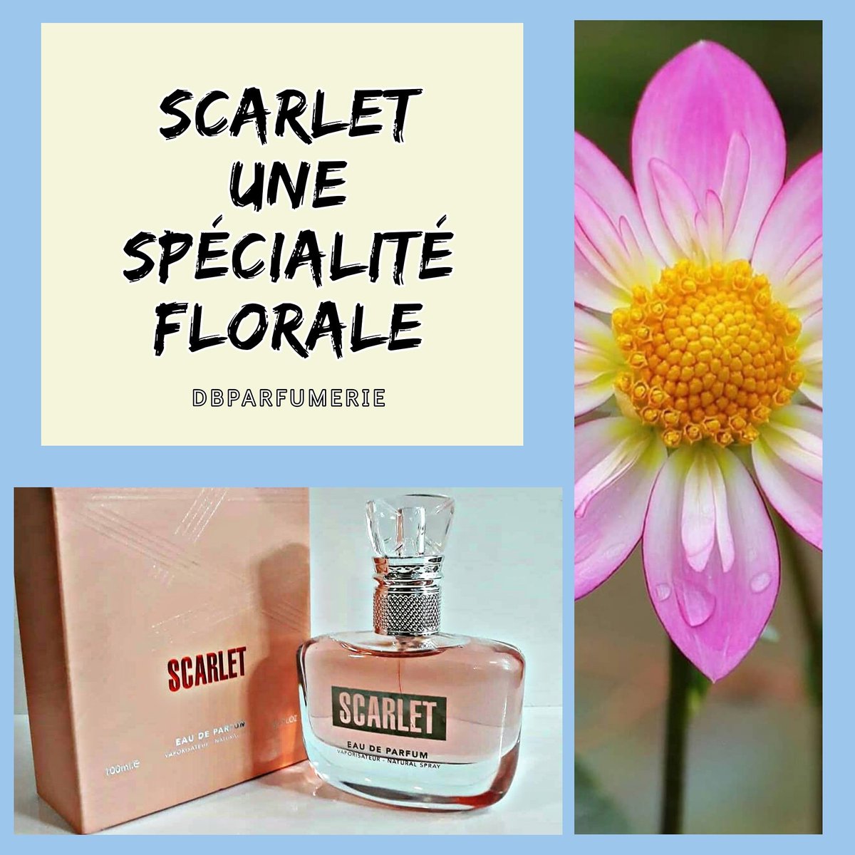 dbparfumerie's tweet photo. SCARLET Le meilleur eau de parfum pour l'été.
.
.
.
.
.
.
.
.
.
.
.
.
.
.
#parfum #parfumdames  #parfumsfemmes #parfumset #femmefatale #femmestyle #cosmetique  #togolaise #togolesefood #togovi #togofashion #togoshowbiz   #abidjanshopping  #abidjan #civ225 #cotonouinfluenceur https://t.co/kf11bRGeJj