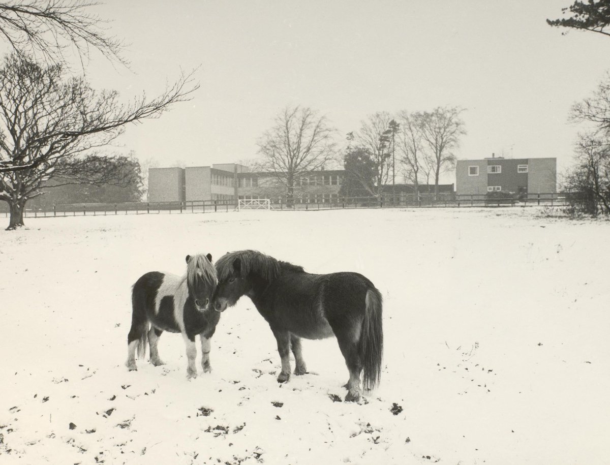 Question: Where are these ponies pictured?  #OriginalThenOriginalNow