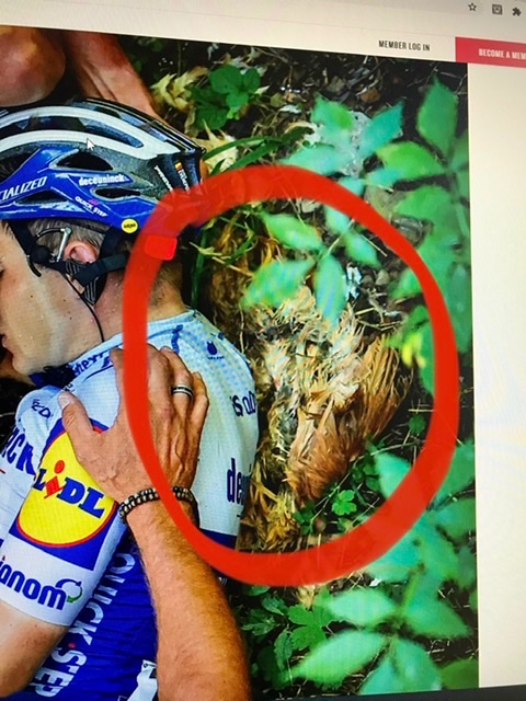 Oscar Moseley tweet media