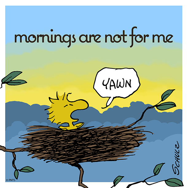 Woodstock's tweet photo. "" '''' '' '''''''""""! #BackToBed 💤 https://t.co/2n47bFDvAd
