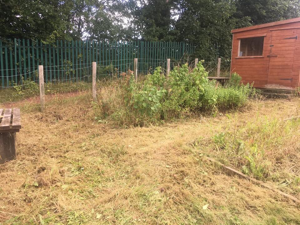 ABFWXM's tweet photo. Diolch yn fawr/BIG thanks to the lovely folk at @GriffithsHire  Wrexham for kindly lending us a strimmer this morning! Got lots of tidying up done :) Before and after pics below!!! https://t.co/dV8Odwj2Eq