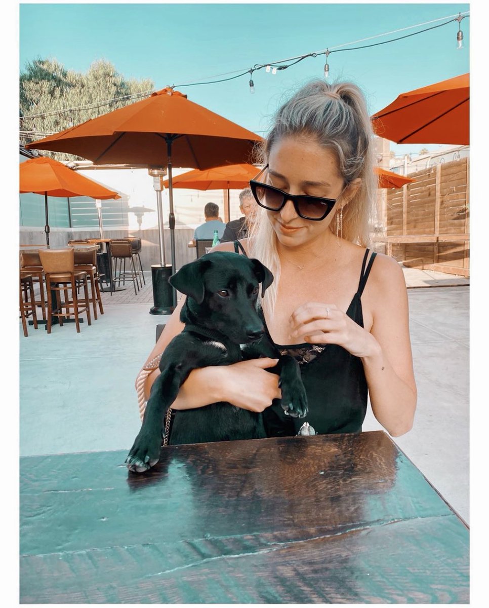 Life is Ruff at Union, &amp; we love it!🐶  Bring your furry family members to either of our outdoor patios, 7 days a week!
📸: @camiigurl
#DevotedToTheCraft #UnionKitchenTap
