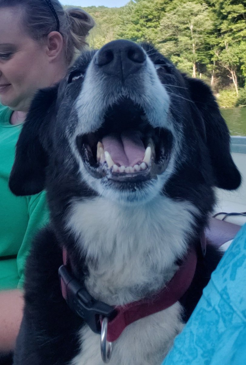 webteach's tweet image. Boat smile.