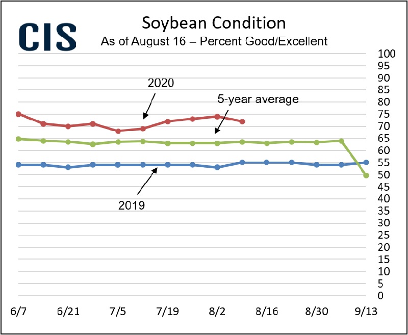 CIS_InfoSystems's tweet photo. #Corn and #Soybean Conditions as of August 16 from this week's issue of Grain Insight. 

#GrainInsights delivers timely analysis and fundamental research designed to maintain, alter, or enhance long term market moves. 

Tweet us to learn how to subscribe! https://t.co/xm6rI4UeGi