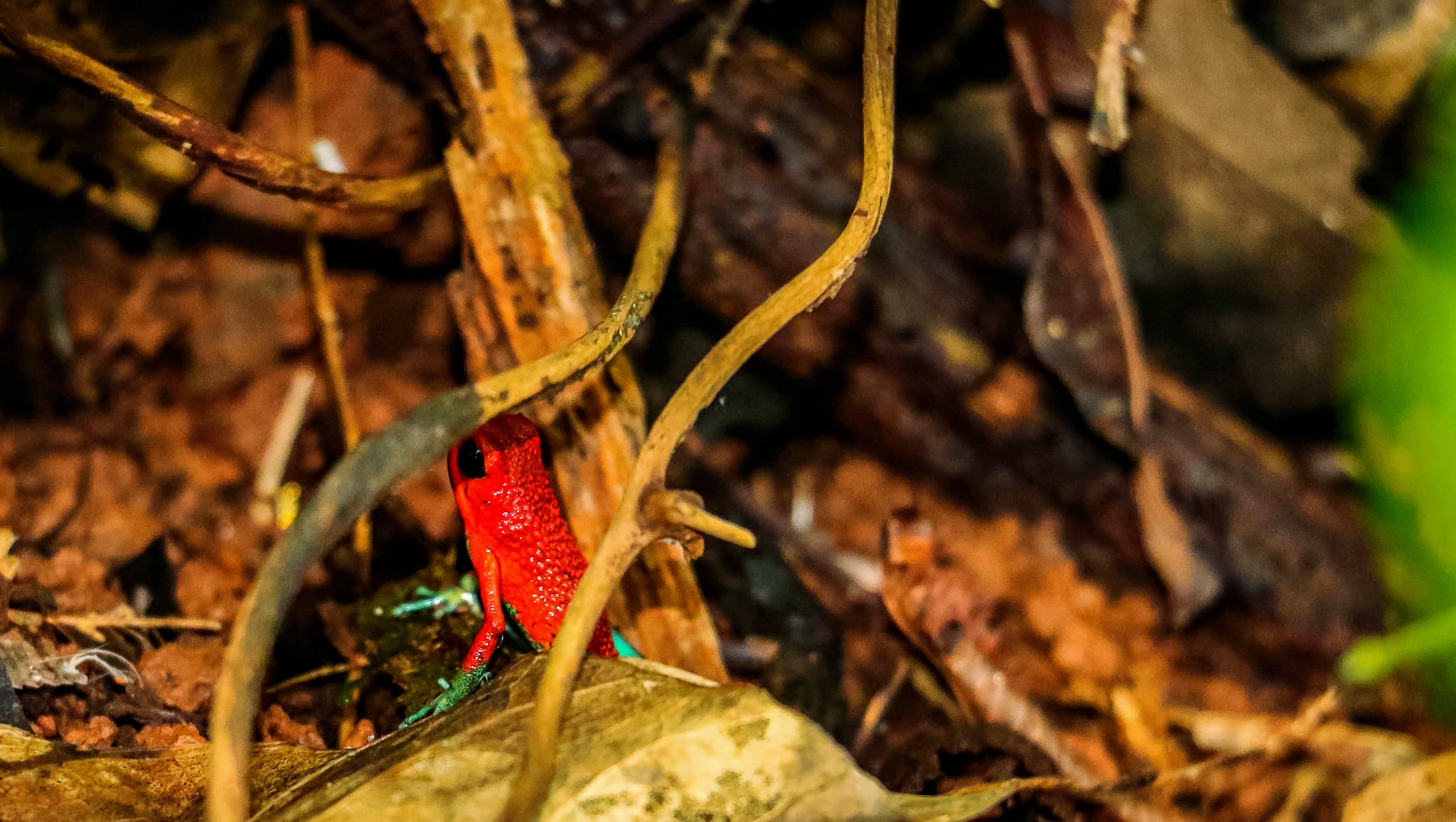 Kalon Surf on Twitter: "Look around. You are in the middle of the