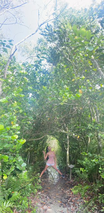 The Everglades https://t.co/JC4lvnTVEN<a href="/tag/chaturbate"class="tags"><span>#chaturbate</span></a>
