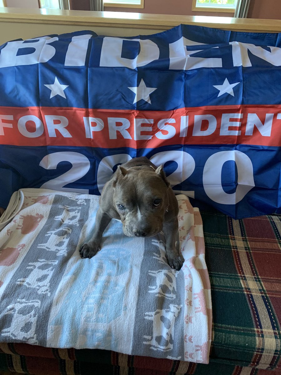 Hazel Devick tweet media