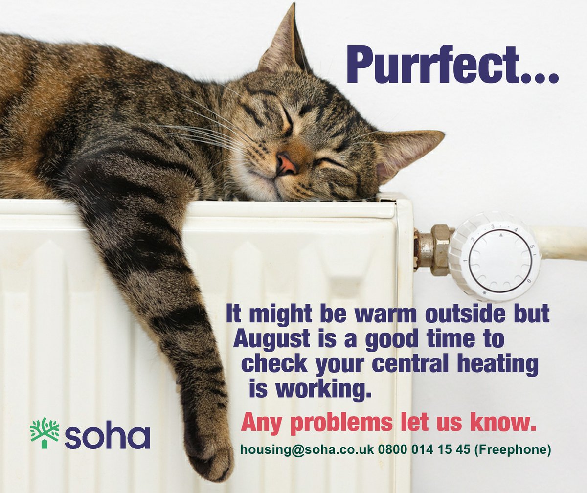 SohaHousing's tweet photo. If you do have to call us out to a gas central heating issue, it'll be @BridgeHeating that responds. That's the new name for Wheldons. https://t.co/BbjxyxI9zI