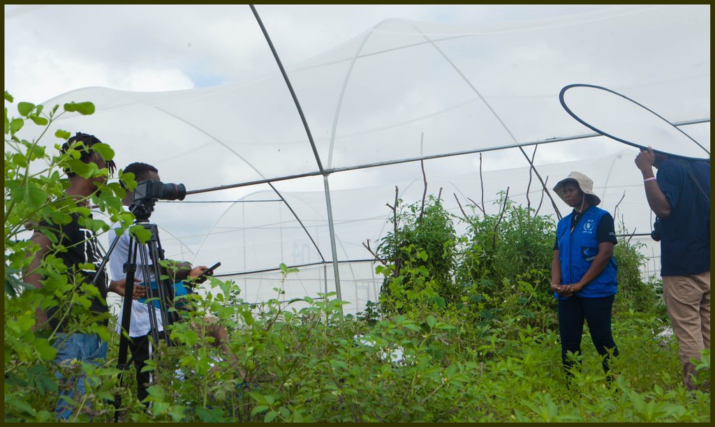FilmsKey's tweet photo. Exile Key Films  in horticultural farm of World Food Program (WFP) a project initiated by WFP to help both refugees and the host communities in kalobeyei settlement. This GIZ project features the Impact resulting from the electrification in line of the GIZ Response to Covid-19. https://t.co/kungsHlLrU