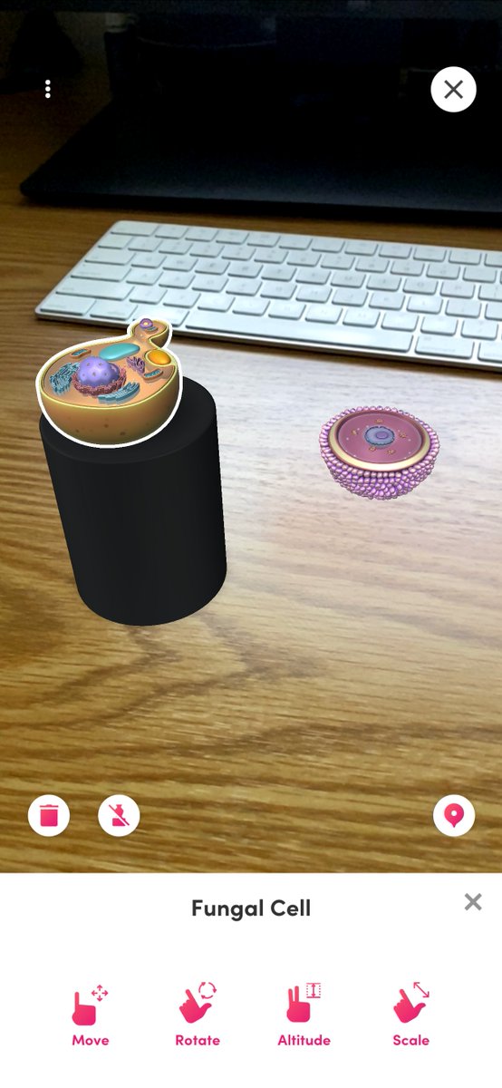 lesliefisher's tweet photo. Merge EDU has updated their App Object Viewer to include over 100 digital teaching aids for free and close to 1000 (with more planned) in their subscription platform allowing you to hold and interact with virtual objects no matter the location you are learning in. @MergeVR https://t.co/YadPCDvBgx