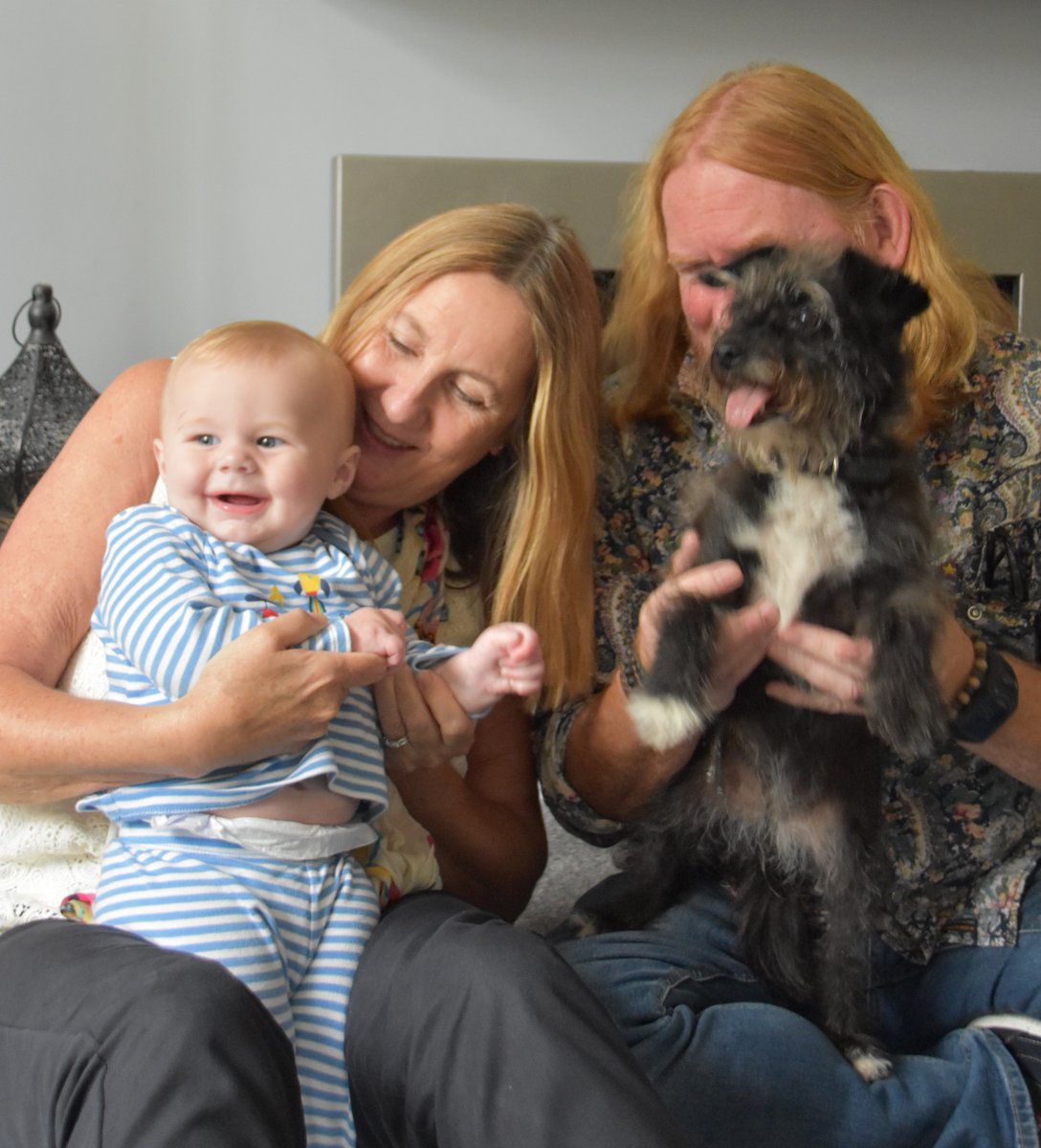 ProgWinds's tweet image. Ali and me doing &quot;The Wheels on the Bus&quot; with our Grandson Finn and #Progdog!