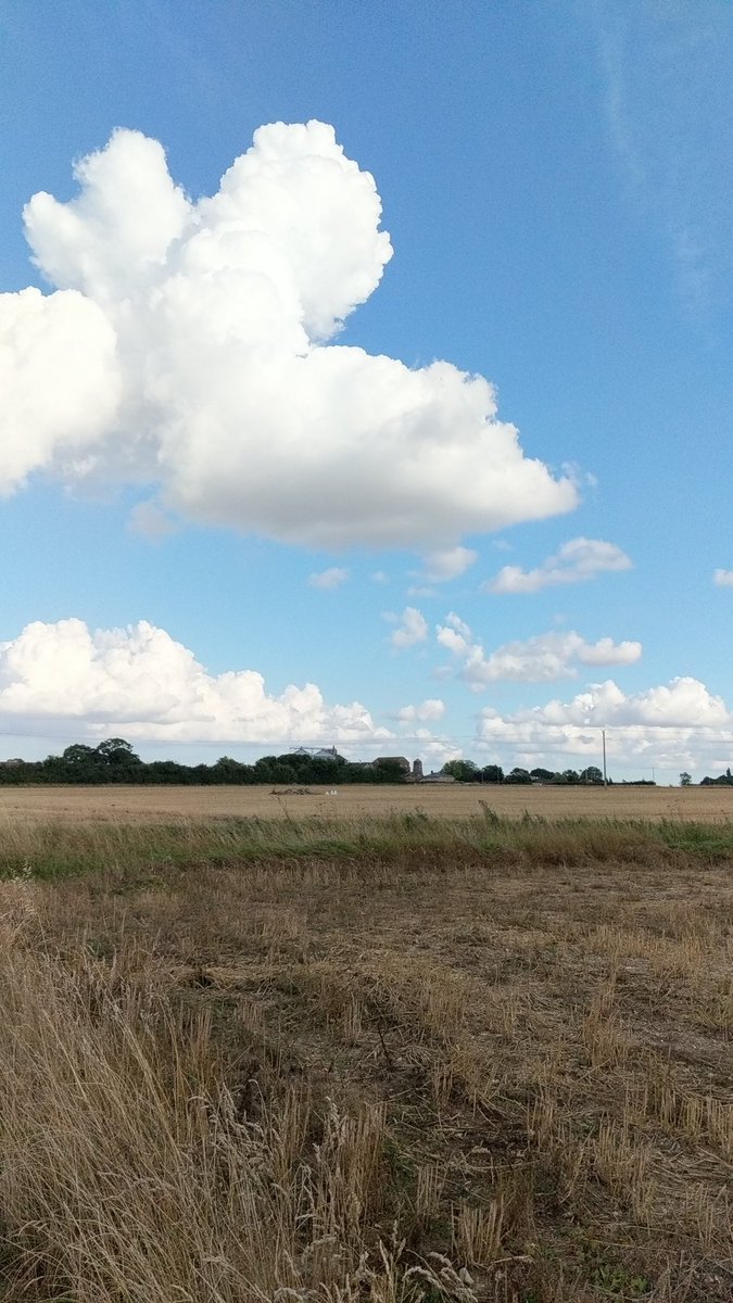 _lee_norton's tweet photo. Great to see progress on the #longstrattonbypass @SNorfolkCouncil is there an estimate on when the work will start @alison4stratton? https://t.co/Ct8dTGKEd9