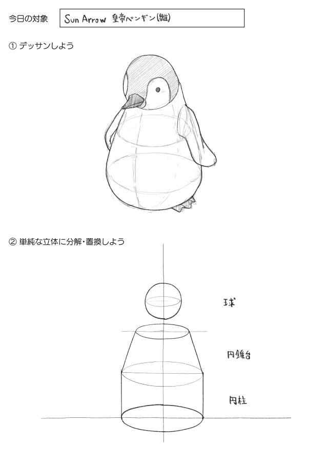 016 Sun Arrow 皇帝ペンギン(雛) 