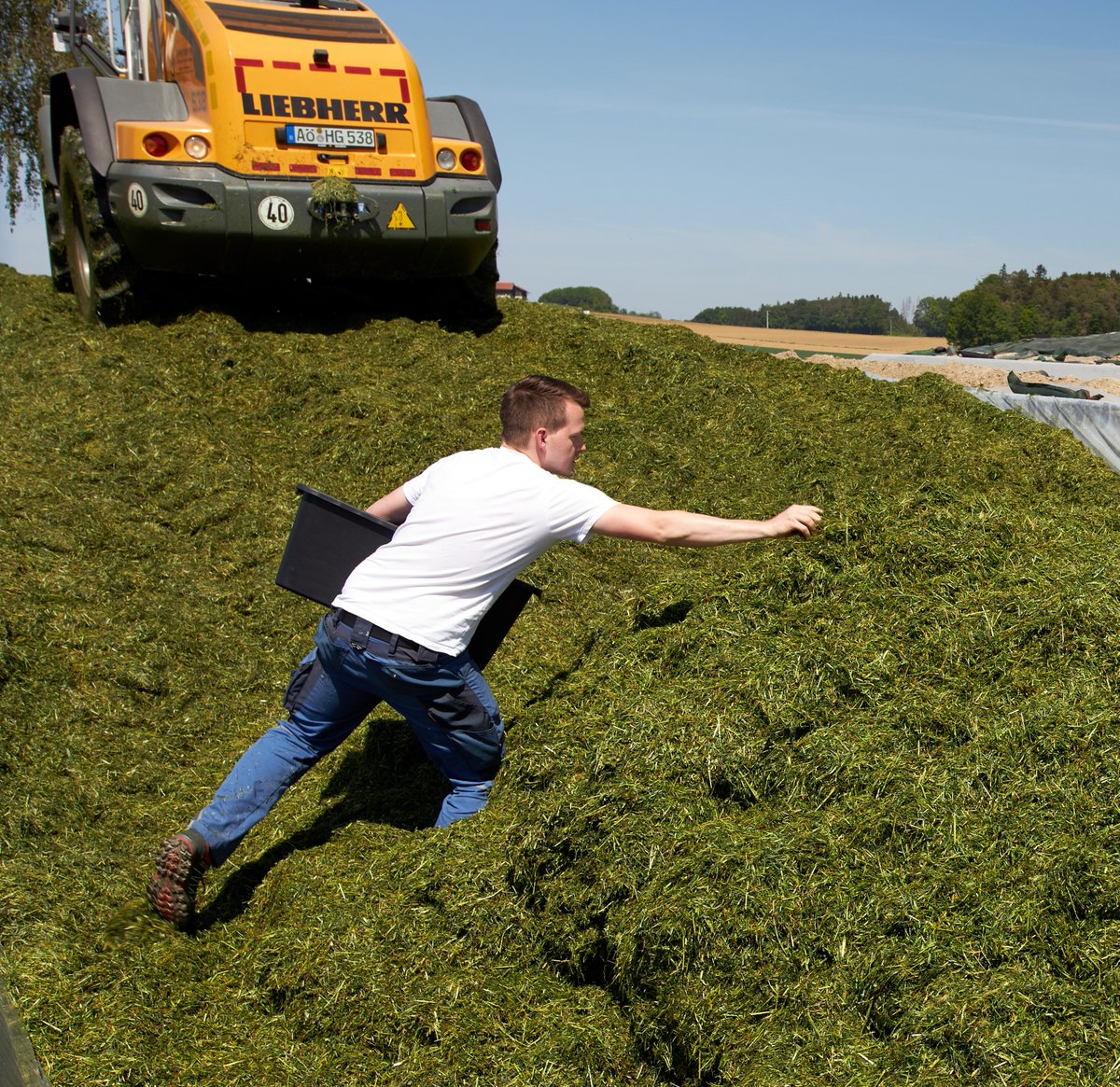Fleißig, fleißig: Unserer wissenschaftlicher Mitarbeiter Franz Worek hat für den Bereich "Sensorgestützte Ertragsermittlung" mittlerweile 322 Proben in verschiedenen Praxisbetrieben genommen.
#DigiMilch #Landwirtschaft