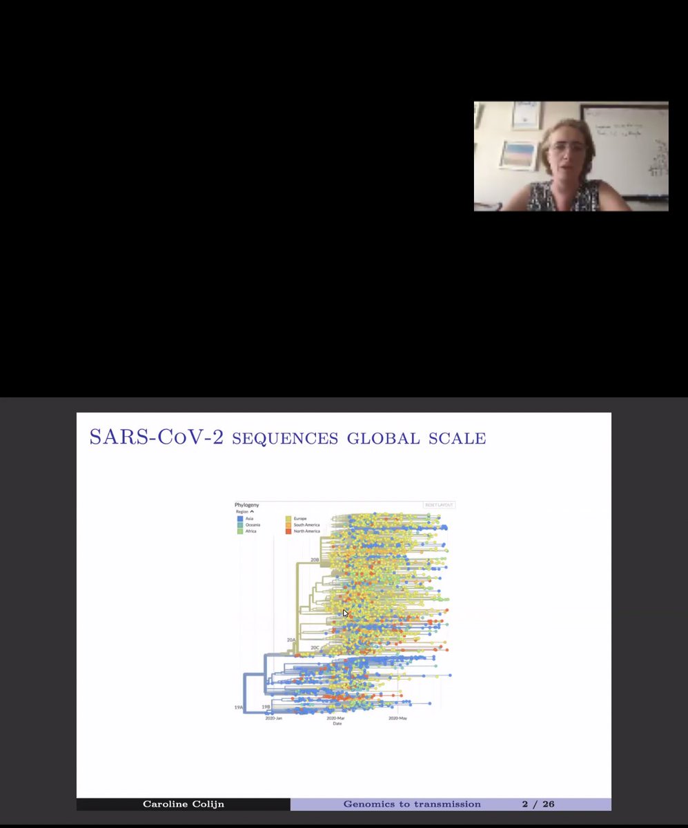 moohemeng's tweet photo. A swab under detailed analysis by Caroline Colijn #SMB2020 #SMBMathEpi https://t.co/ZDtLV6DzLJ