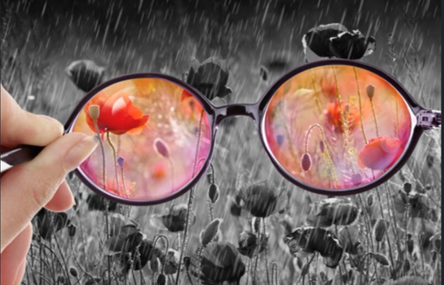 judyshapiro's tweet photo. @avc NYC is where dreamers go. They always have come here and always will cuz they look at NYC thru their beautiful rose colored glasses. Thru them, we can see the innovation, imagination &amp; inspiration NYC will always offer. https://t.co/8uTAmEtqVy