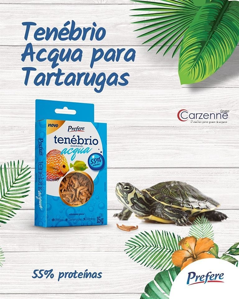 carzenne's tweet photo. Ofereça o Tenébrio Acqua Prefere para a sua amiguinha, para complementar sua alimentação! 🐢😋

Ah!!! Tenébrio Acqua também pode ser oferecido para peixes e répteis 😉

#grupocarzenne #prefere #tenebrioacqua  #tartaruguinha #peixes #alimentacaosaudavel https://t.co/NV9NnsRGr0