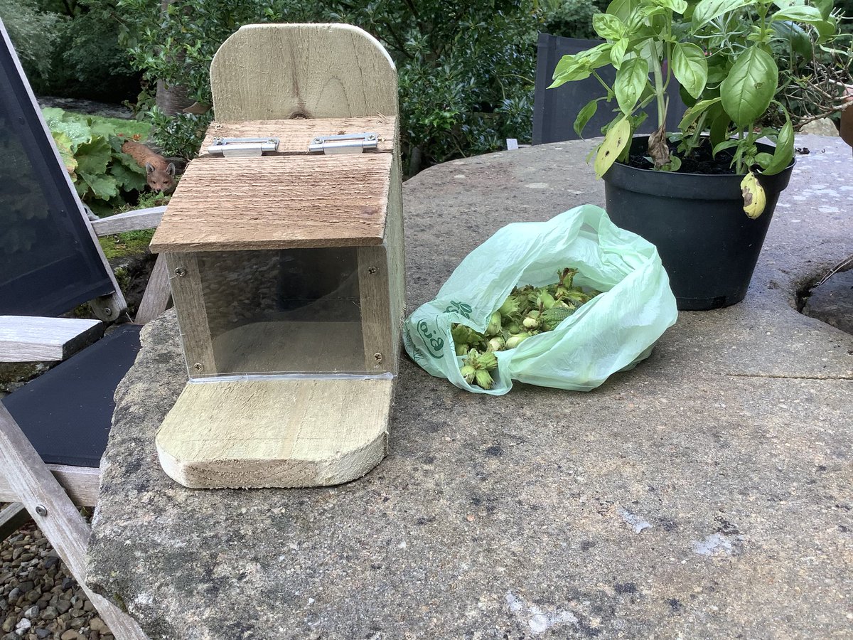 1lowmill's tweet photo. Have made a couple of squirrel feeding boxes to try to lure the little red fella back into our garden..fingers crossed he{she)gets hungry enough and comes in search of some tasty nuts 🥜 https://t.co/je6zAjI2Nn