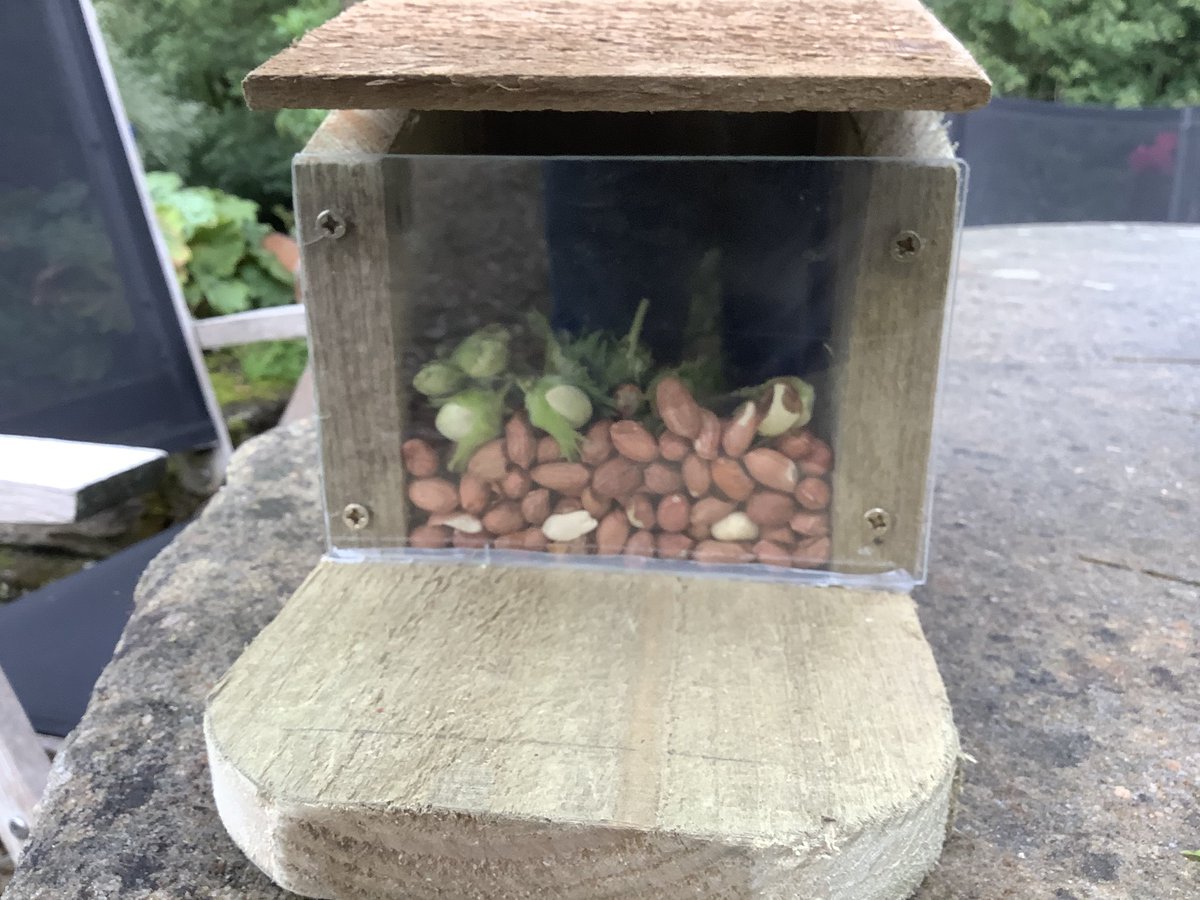 1lowmill's tweet photo. Have made a couple of squirrel feeding boxes to try to lure the little red fella back into our garden..fingers crossed he{she)gets hungry enough and comes in search of some tasty nuts 🥜 https://t.co/je6zAjI2Nn