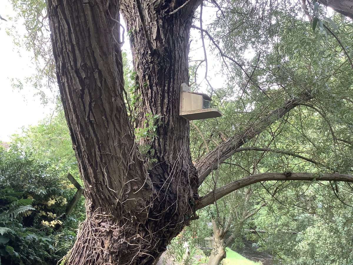 1lowmill's tweet photo. Have made a couple of squirrel feeding boxes to try to lure the little red fella back into our garden..fingers crossed he{she)gets hungry enough and comes in search of some tasty nuts 🥜 https://t.co/je6zAjI2Nn