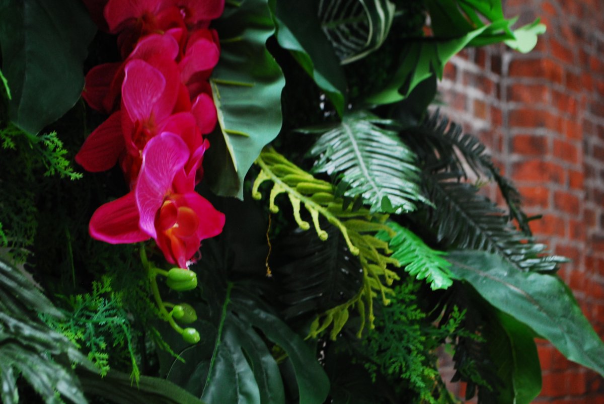 ShinyPeople_'s tweet photo. Check out our handmade tropical themed backdrop! Available to hire in Birmingham, perfect for garden parties, events or even for a summer photoshoot! #tropical #vibes #backdrop #hire #birmingham hello@shinypeopleevents.com https://t.co/NklfK4h2sR