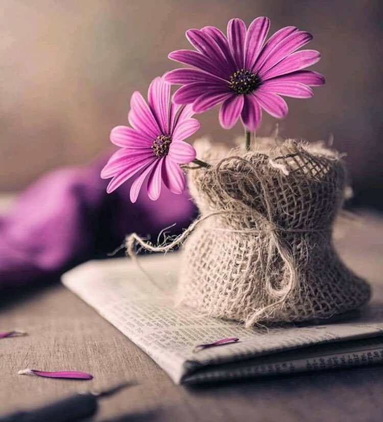 6_viiv's tweet photo. إذا ما اليأسُ خيَّـم ذاتَ يومٍ
أضـاءَ تفاؤُلِي حتـمًا طريقِي

ولو أن التفـاؤُلَ كانَ شخصًا
لكان بِرغـمِ غُربَتِـهِ صَدِيـقِي

@6_viiv https://t.co/UPdFU7hIVN