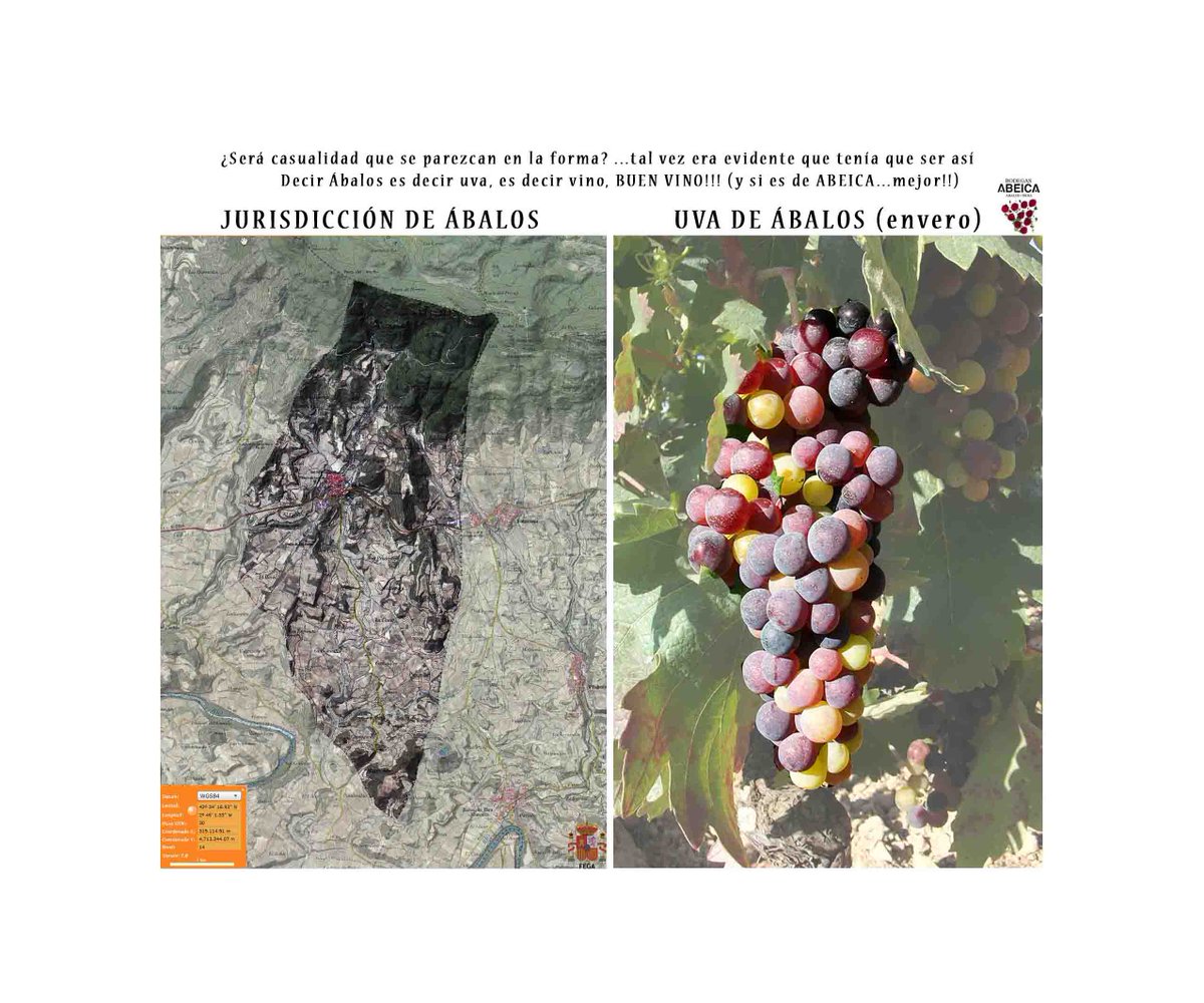 Bodegas Abeica tweet media