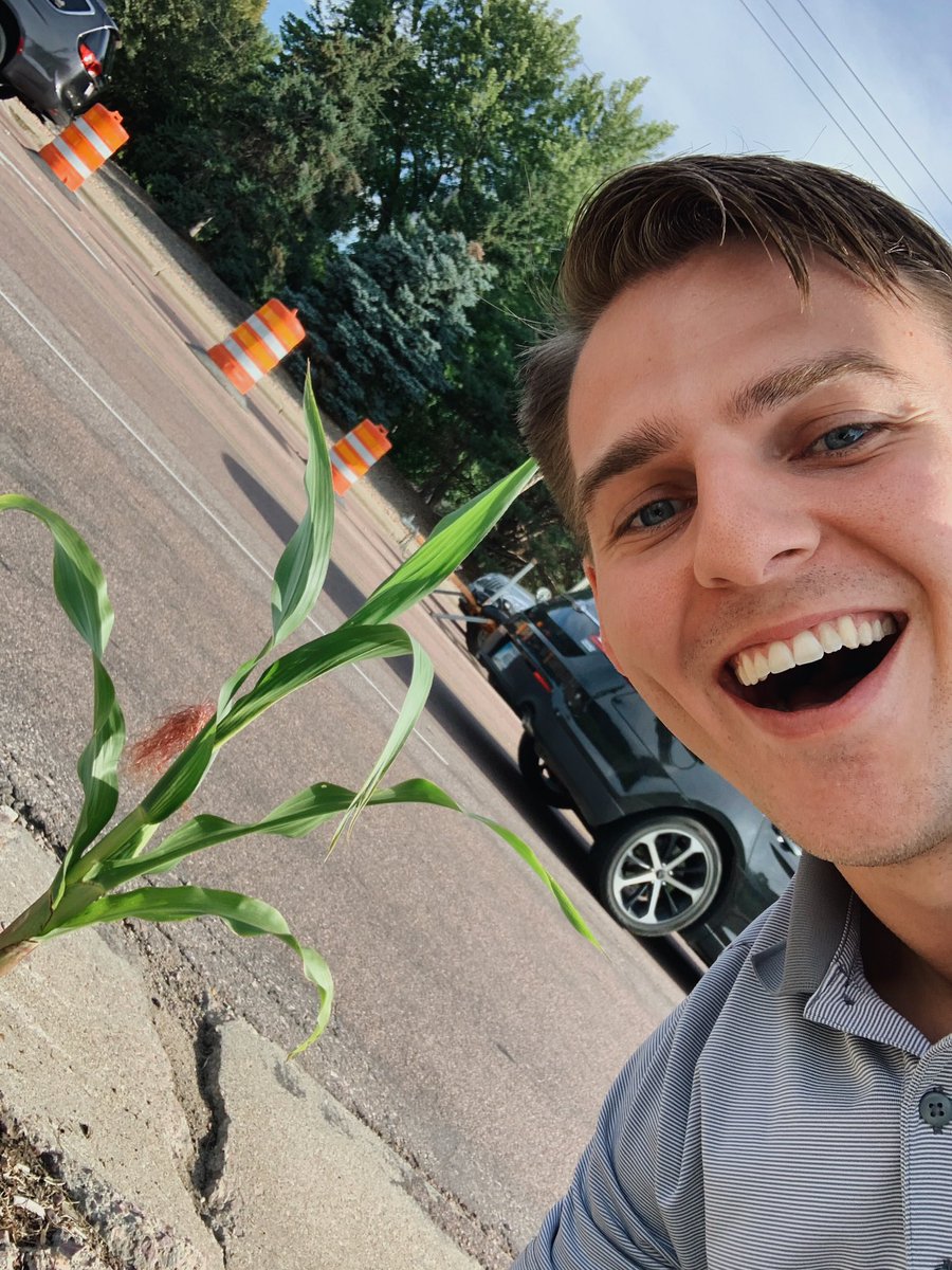 benderco's tweet photo. New to the market &amp; conveniently located within walking distance of our office: Sioux Falls’ newest tourist destination, the 57th Street corn! 🌽😂 https://t.co/dC9COaOvob