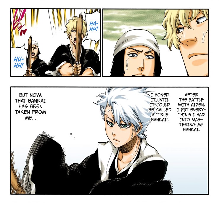 Toshiro lui après la première invasion où ils se font voler leur Bankai, il va s'entraîner avec un groupe de Shinigami, il s'entraîne au maniement du sabre.