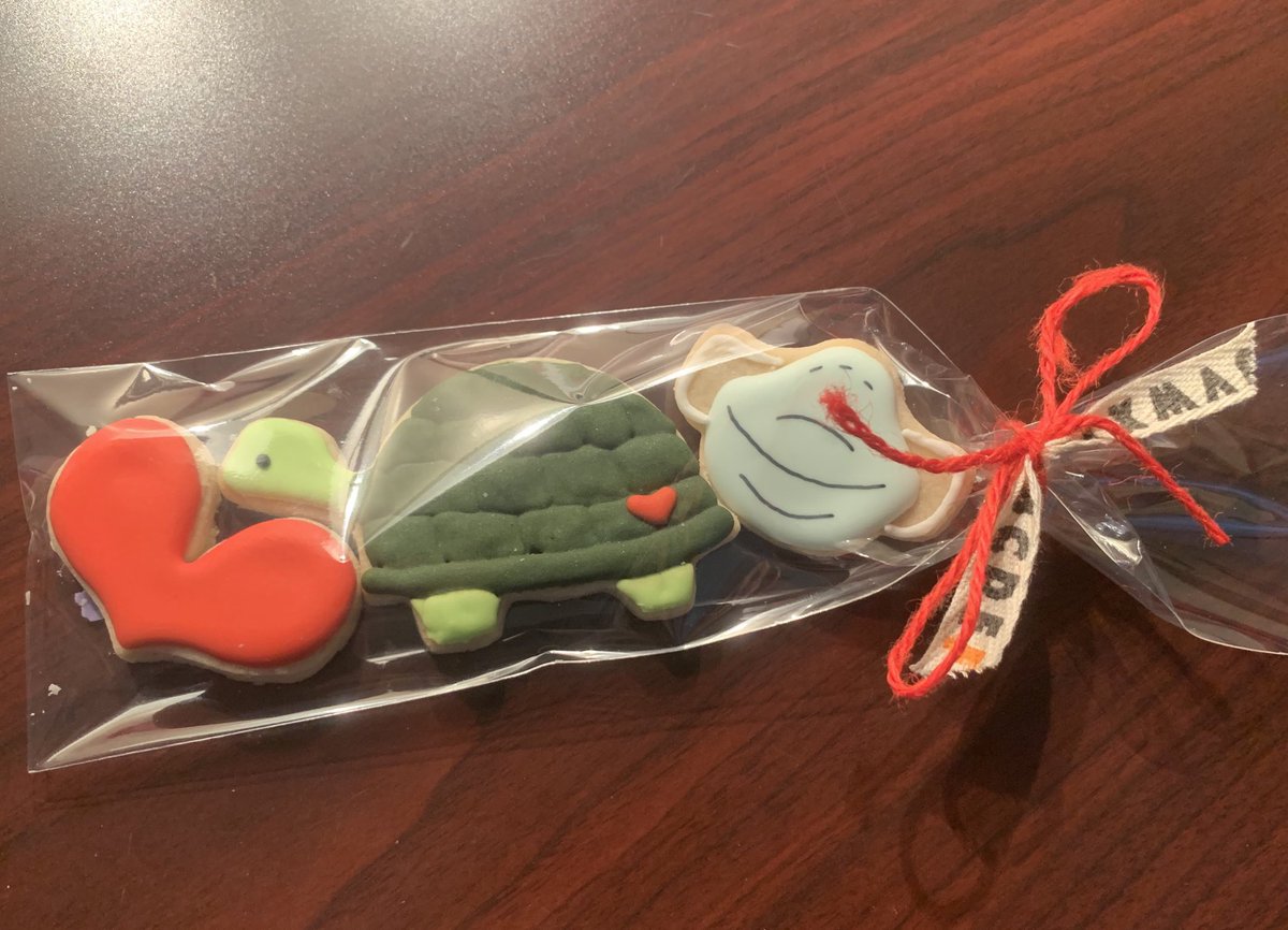 asc44's tweet image. We have the best art teacher 😍 @kat_tines #teamturtle #turtlestrong @FCPSMaestra @MMPTurtles